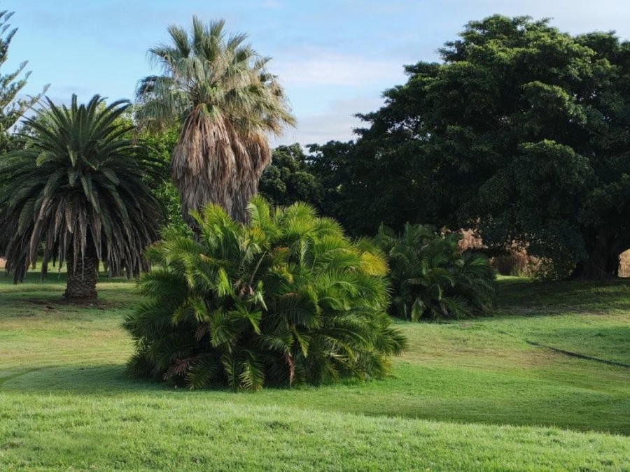 0 Bedroom Property for Sale in Darling Western Cape